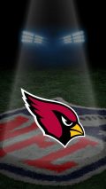Arizona Cardinals iPhone 6 Plus Wallpaper