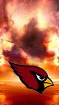 Arizona Cardinals iPhone Screen Lock Wallpaper