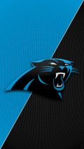 Carolina Panthers iPhone XS Wallpaper