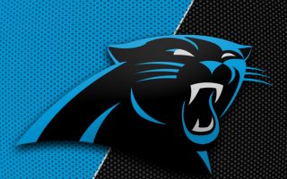 Carolina Panthers iPhone XS Wallpaper With high-resolution 1080X1920 pixel. Download and set as wallpaper for Apple iPhone X, XS Max, XR, 8, 7, 6, SE, iPad, Android