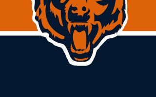 Chicago Bears iPhone XR Wallpaper With high-resolution 1080X1920 pixel. Download and set as wallpaper for Apple iPhone X, XS Max, XR, 8, 7, 6, SE, iPad, Android