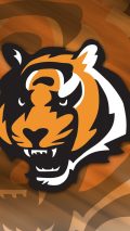 Cincinnati Bengals iPhone 6 Plus Wallpaper