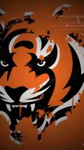 Cincinnati Bengals iPhone 8 Wallpaper