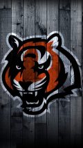 Cincinnati Bengals iPhone Screen Lock Wallpaper