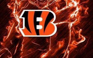 Cincinnati Bengals iPhone X Wallpaper With high-resolution 1080X1920 pixel. Download and set as wallpaper for Apple iPhone X, XS Max, XR, 8, 7, 6, SE, iPad, Android