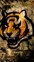 Cincinnati Bengals iPhone XR Wallpaper
