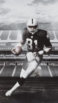 Cool NFL iPhone Wallpaper Home Screen
