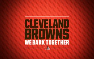 Cleveland Browns Wallpaper in HD With high-resolution 1920X1080 pixel. Download and set as wallpaper for Desktop Computer, Apple iPhone X, XS Max, XR, 8, 7, 6, SE, iPad, Android