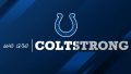 Indianapolis Colts Wallpaper in HD