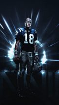 Indianapolis Colts iPhone 6 Wallpaper