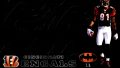 Cincinnati Bengals Wallpaper for Computer