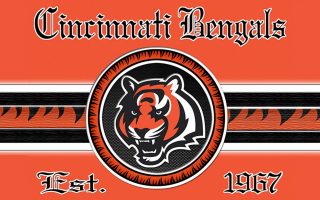 Cincinnati Bengals Wallpaper in HD With high-resolution 1920X1080 pixel. Download and set as wallpaper for Desktop Computer, Apple iPhone X, XS Max, XR, 8, 7, 6, SE, iPad, Android