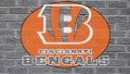 HD Cincinnati Bengals Backgrounds
