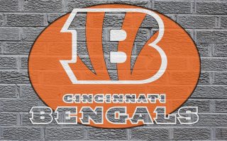 HD Cincinnati Bengals Backgrounds With high-resolution 1920X1080 pixel. Download and set as wallpaper for Desktop Computer, Apple iPhone X, XS Max, XR, 8, 7, 6, SE, iPad, Android